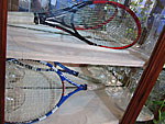 Exposición de raquetas históricas El Cedro